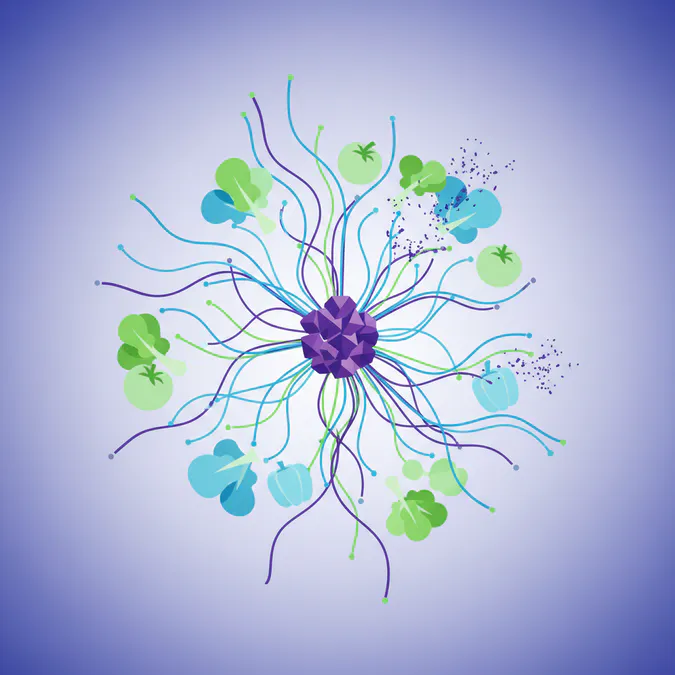 The Cross-Contamination Risk of Washing Chicken - 10 Essential Food Safety Tips: Why You Should Never Wash Chicken