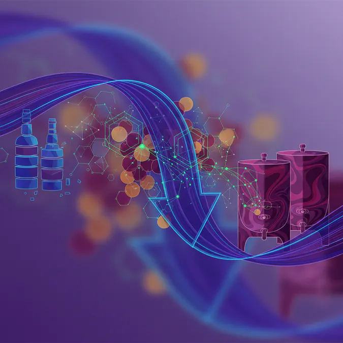 Analysis of Declines in Global Wine Exports - Essential Insights into Global Wine Exports: 2025 Trends