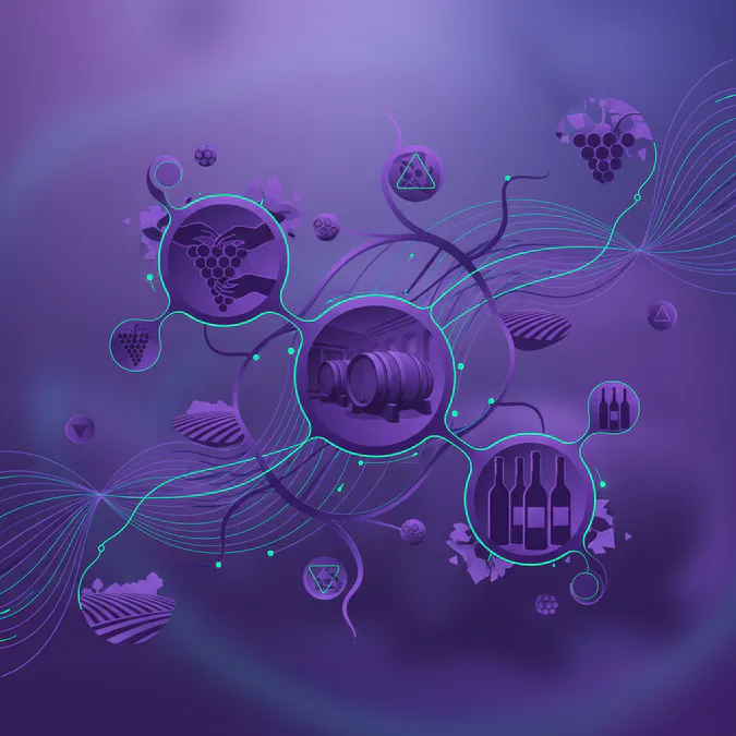 What This Means for the Future of Wine - Earliest Grape Harvest: Hawke's Bay Winemaker's Remarkable Experience